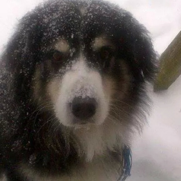 🧡Shop your Hearts out!🧡 - Picture 6 of 6